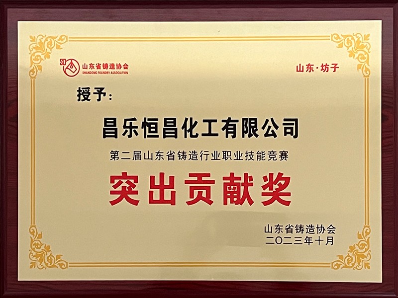 第二届山东省铸造行业职业技能竞赛 突出贡献奖